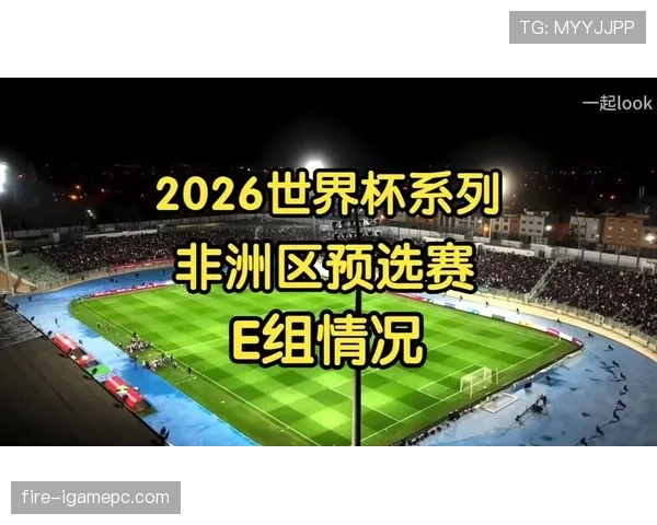 世界杯E组关键数据汇总